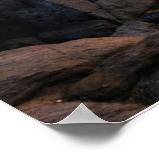 Leuchttürme | Nubble Lighthouse Maine Poster (Ecke)