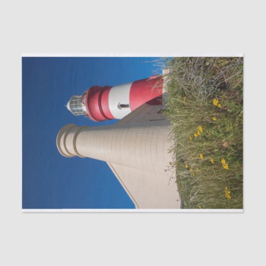 Leuchtturmteppichpapier Seidenpapier (Vorderseite)