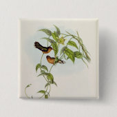 Leucippus Fallax Button (Vorderseite)