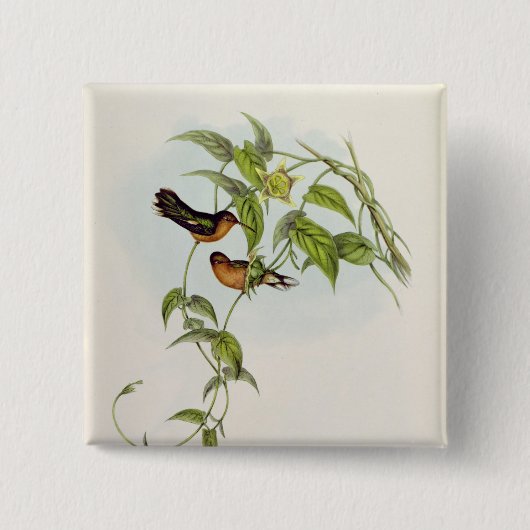 Leucippus Fallax Button (Vorderseite)