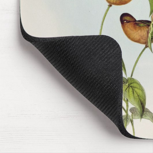 Leucippus Fallax Mousepad (Ecke)