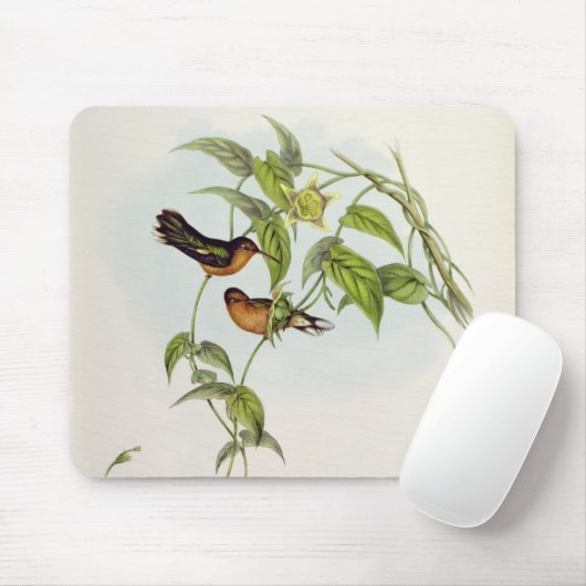 Leucippus Fallax Mousepad (Mit Mouse)