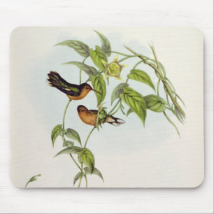 Leucippus Fallax Mousepad