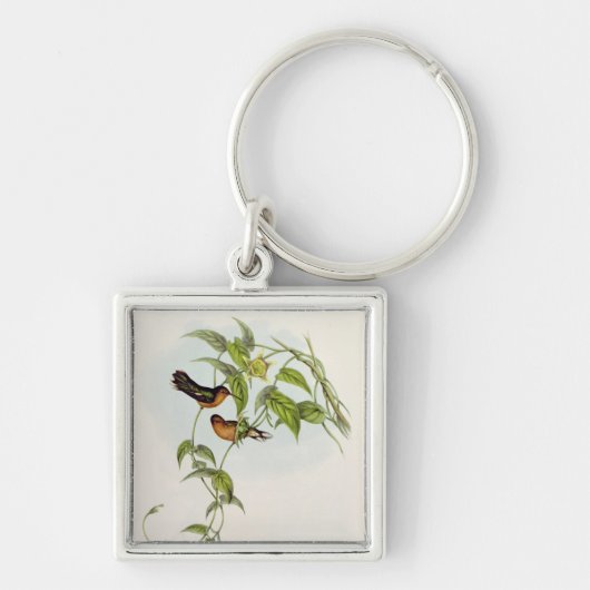 Leucippus Fallax Schlüsselanhänger (Vorne)