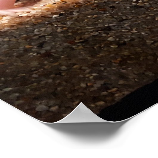 Leucistic Axolotl Poster (Ecke)