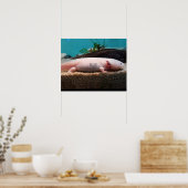Leucistic Axolotl Poster (Küche)
