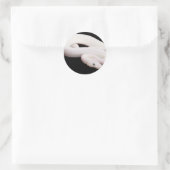 Leucistic Ball Python Runder Aufkleber (Tasche)