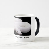 Leucistic Ball-Pythonschlange-Tasse # 2 Verwandlungstasse (VorderseiteRechts)