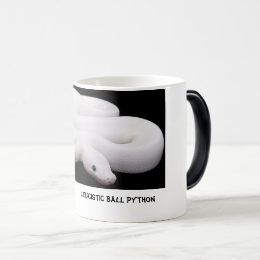 Leucistic Ball-Pythonschlange-Tasse # 2 Verwandlungstasse (VorderseiteRechts)