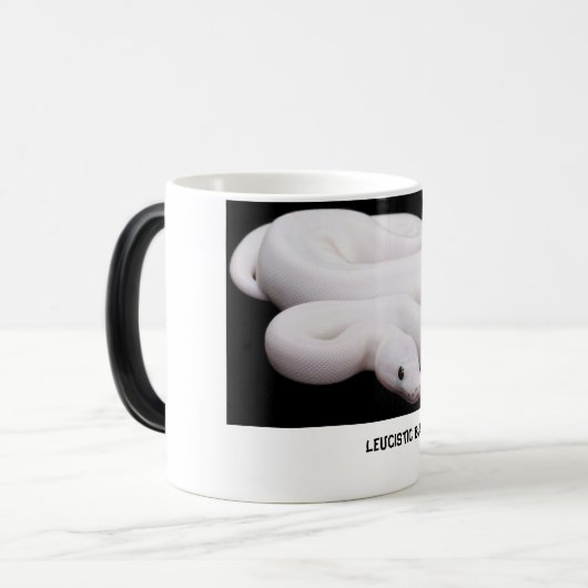 Leucistic Ball-Pythonschlange-Tasse # 2 Verwandlungstasse (Vorderseite Links)