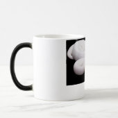 Leucistic Ball-Pythonschlange-Tasse # 2 Verwandlungstasse (Links)