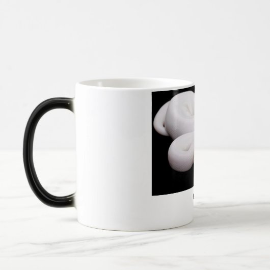 Leucistic Ball-Pythonschlange-Tasse # 2 Verwandlungstasse (Links)
