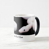 Leucistic Ball-Pythonschlange-Tasse Verwandlungstasse (VorderseiteRechts)