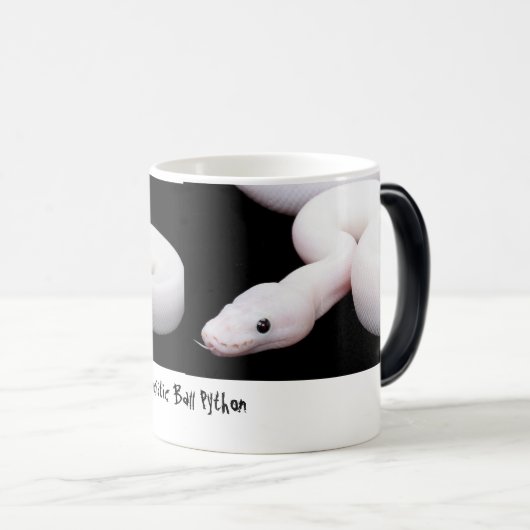 Leucistic Ball-Pythonschlange-Tasse Verwandlungstasse (VorderseiteRechts)