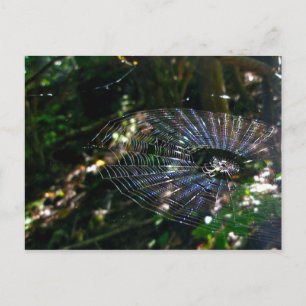 LeuG Web Postcard Postkarte