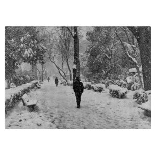 Leute im Park im schneebedeckten Wintertag Schneidebrett