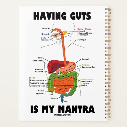 Leute zu haben ist mein mantra-didaktischer System Planer (Rückseite)