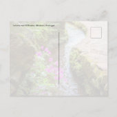 Levada das 25 Fontes Madeira Postcard Postkarte (Rückseite)