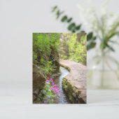 Levada das 25 Fontes Madeira Postcard Postkarte (Stehend Vorderseite)