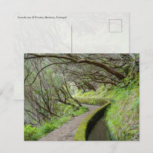 Levada das 25 Fontes Madeira Postkarte (Vorne/Hinten)