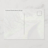 Levada das 25 Fontes Madeira Postkarte (Rückseite)