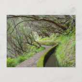 Levada das 25 Fontes Madeira Postkarte (Vorderseite)