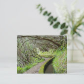 Levada das 25 Fontes Madeira Postkarte (Stehend Vorderseite)