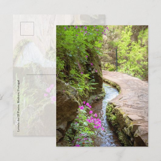 Levada das 25 Fontes Madeira Postkarte (Vorne/Hinten)
