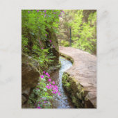 Levada das 25 Fontes Madeira Postkarte (Vorderseite)
