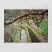 Levada das 25 Fontes Madeira Postkarte (Vorderseite)