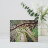 Levada das 25 Fontes Madeira Postkarte (Stehend Vorderseite)