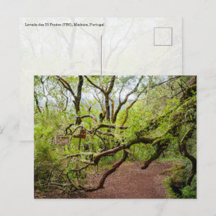 Levada das 25 Fontes Madeira Reise und Natur Postkarte