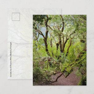 Levada das 25 Fontes Madeira Reisen und Natur Postkarte