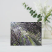 Levadas auf Madeira, Portugal Postkarte (Stehend Vorderseite)