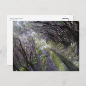 Levadas auf Madeira, Portugal Postkarte (Vorne/Hinten)