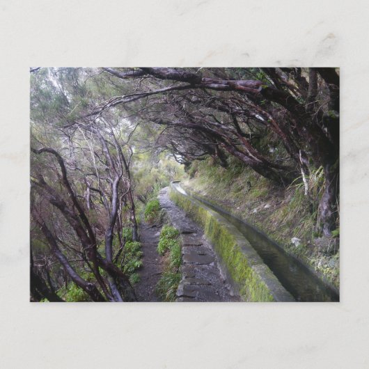 Levadas auf Madeira, Portugal Postkarte (Vorderseite)