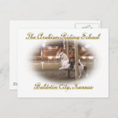 Levade mit Fahrer, Postkarte (Vorne/Hinten)