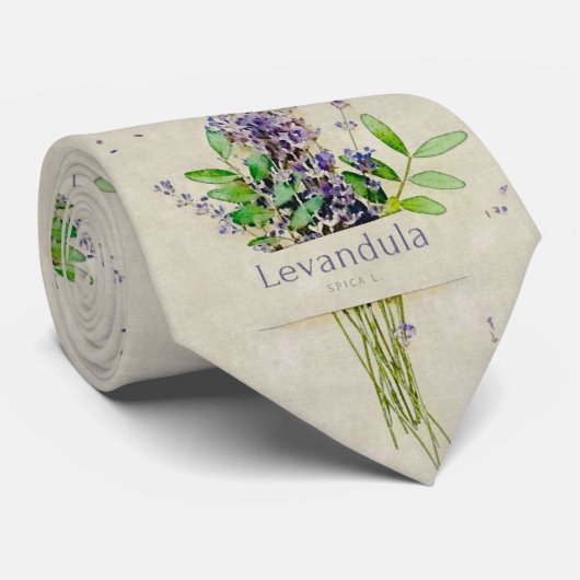 Levandula spica krawatte (Gerollt)