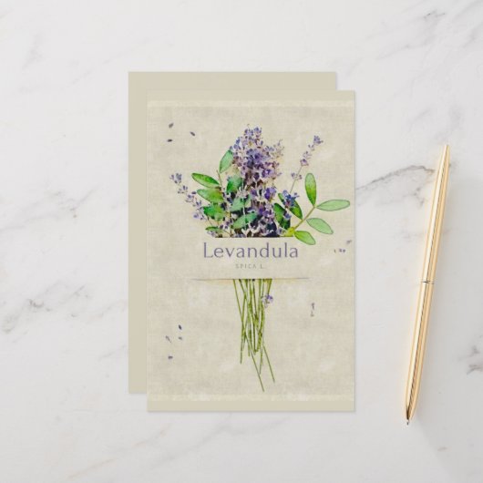 Levandula spica l. notepad (Vorderseite/Rückseite Beispiel)