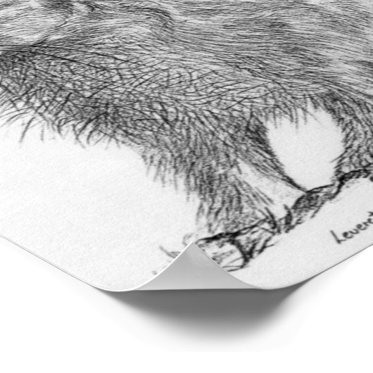 Leveret Poster (Ecke)