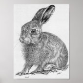 Leveret Poster (Vorne)