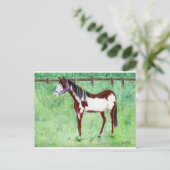 Levi Paint Horse Postkarte (Stehend Vorderseite)