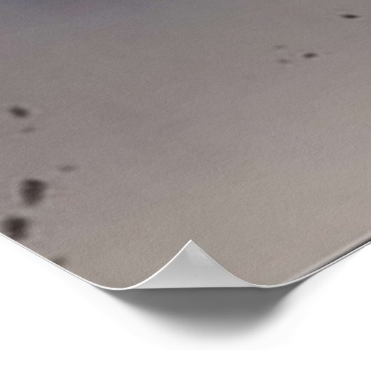 Levi x Mikasa Poster (Ecke)