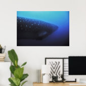 Leviathan Poster (Heimbüro)