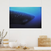 Leviathan Poster (Küche)