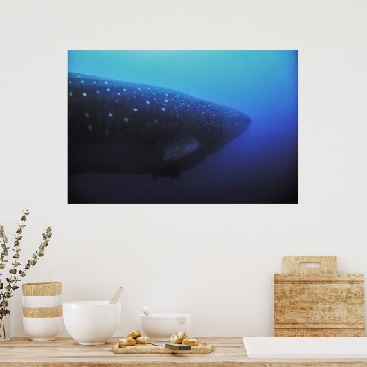 Leviathan Poster (Küche)