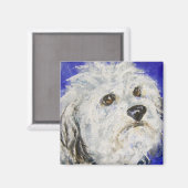 Levine's Duncan Magnet (Vorderseite/Rückseite)