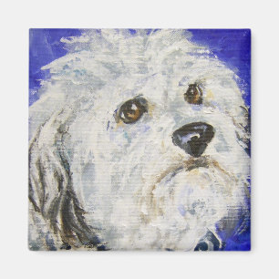 Levines Duncan Magnet