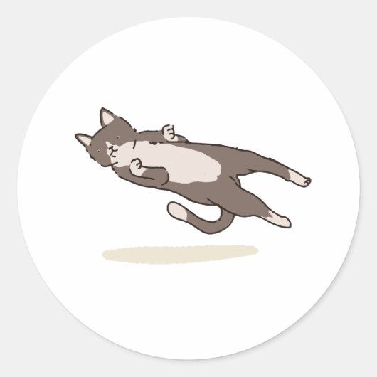 Levitating Cat sticker (Vorderseite)