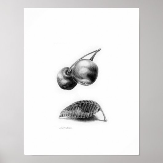 Levitation Poster (Vorne)